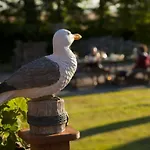 펜션 Kranichblick Mit Terrasse Am Bodden