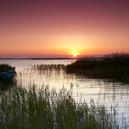 Kranichblick Mit Terrasse Am Bodden Neuendorf Heide