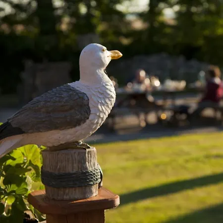 Tatil Evi Kranichblick Mit Terrasse Am Bodden